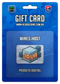 Mines.Host Minecraft Java Duo